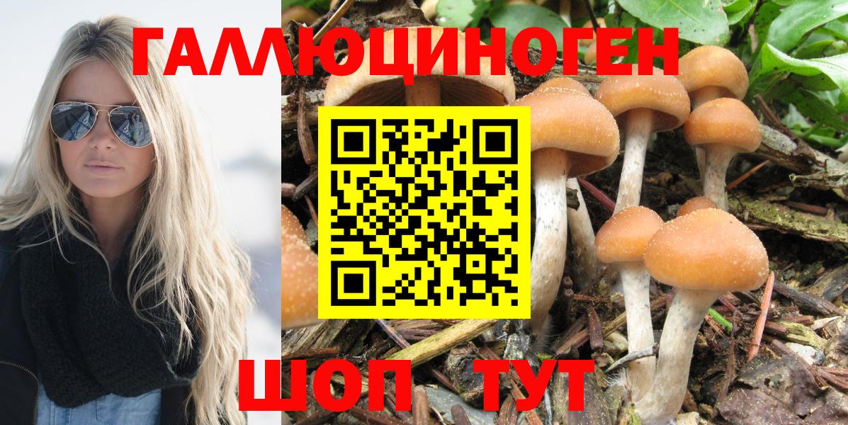 Галлюциногенные грибы Cubensis  Галлюциногенные грибы Psilocybe  Вход с VPN  купить наркотики сайты  Ульяновск 
